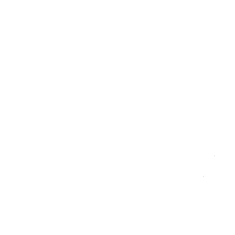 N.A.I.F.A. logo
